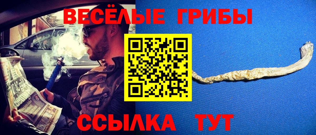 Волгоград  Галлюциногенные грибы MAGIC MUSHROOMS  Вход с VPN 